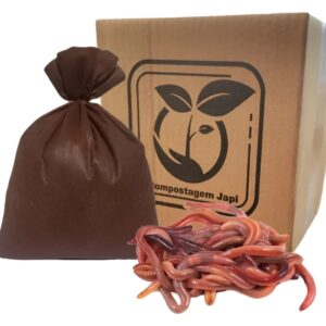 200 Minhocas Californianas Para Vermicompostagem E Composteira