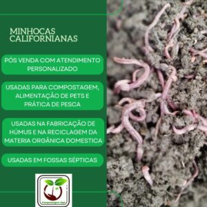 Kit Minhocas Substrato E Serragem Para Composteira De 45 Litros